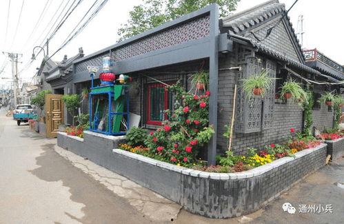 流萤皮肤爆料2025年最新版,光影交织，梦幻绽放